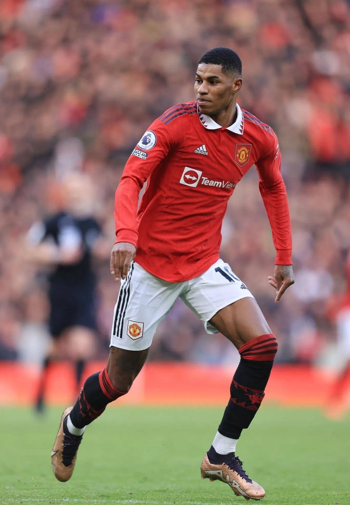 这样的全面 这样的全面